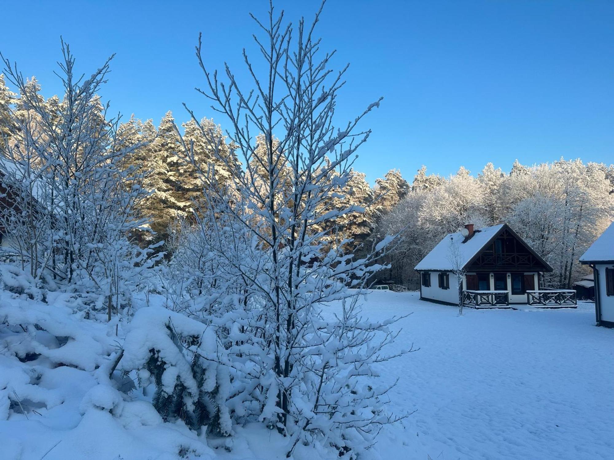 Warmia Resort Woryty Bagian luar foto